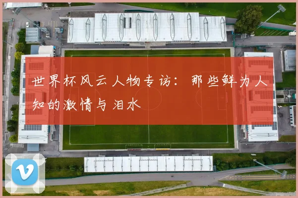 世界杯风云人物专访：那些鲜为人知的激情与泪水
