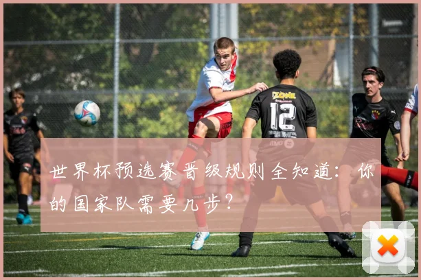 世界杯预选赛晋级规则全知道:你的国家队需要几步?