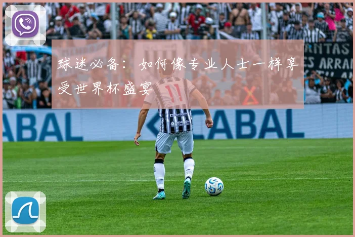 球迷必备：如何像专业人士一样享受世界杯盛宴