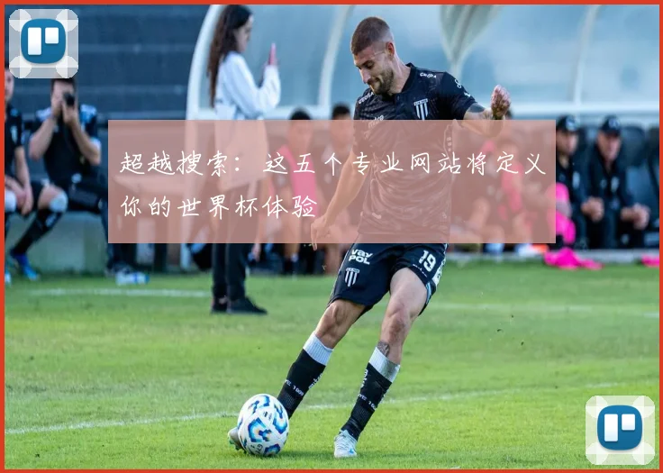 超越搜索：这五个专业网站将定义你的世界杯体验